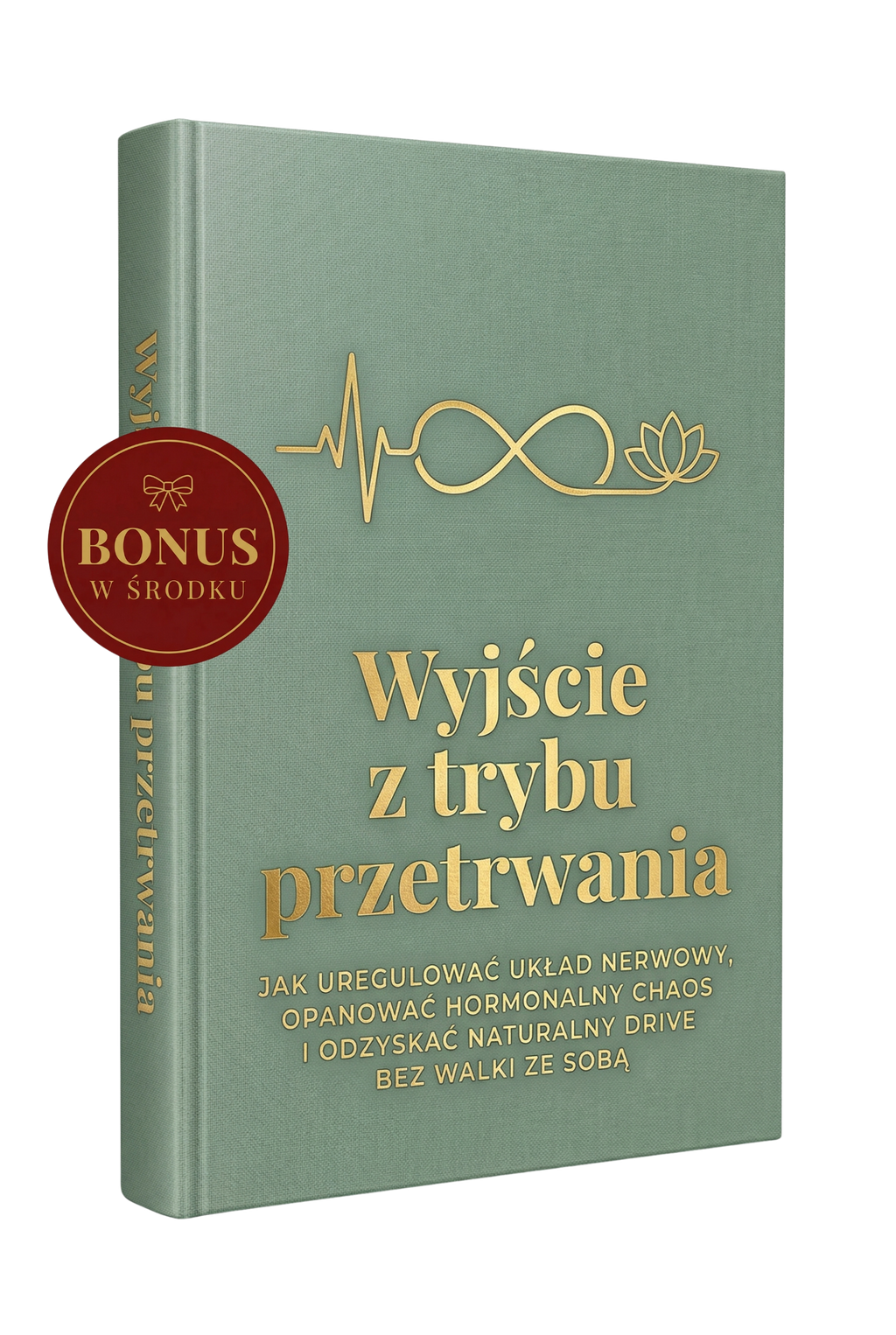 WYJŚCIE Z TRYBU PRZETRWANIA + BONUS